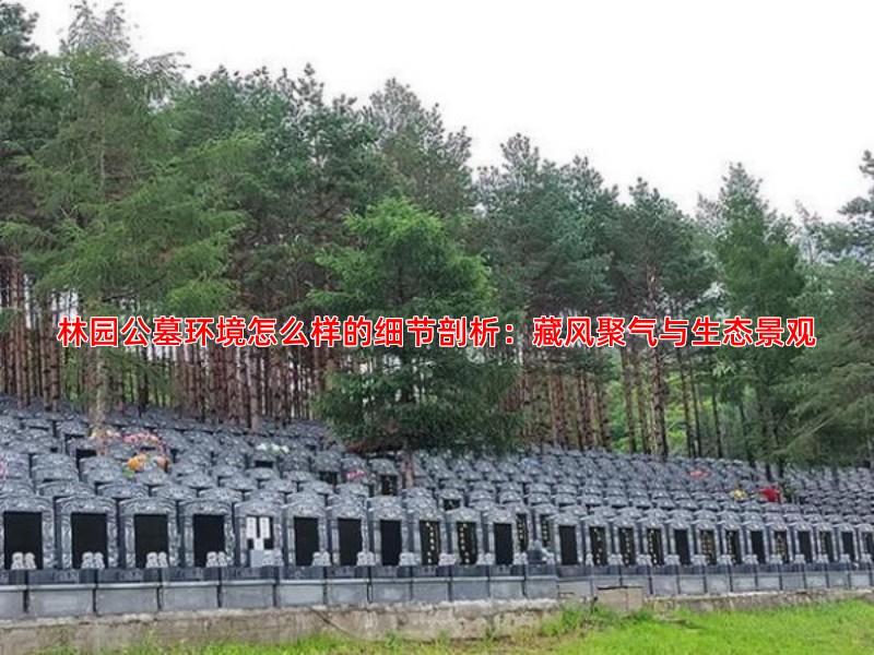 林园公墓环境怎么样的细节剖析：藏风聚气与生态景观