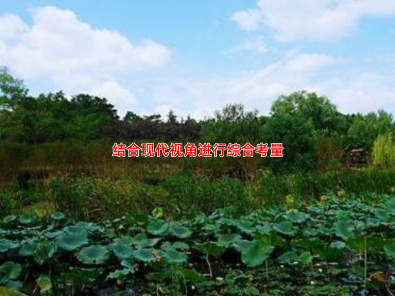 结合现代视角进行综合考量