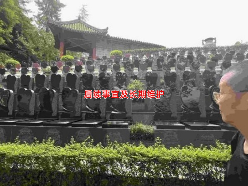后续事宜及长期维护