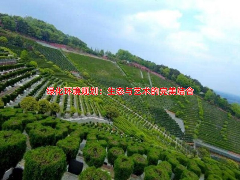 绿化环境规划：生态与艺术的完美结合