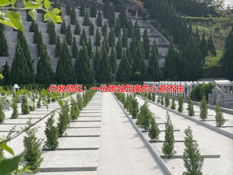 代客祭扫：一份跨越距离的心意寄托