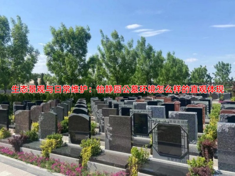 生态景观与日常维护：怡静园公墓环境怎么样的直观体现