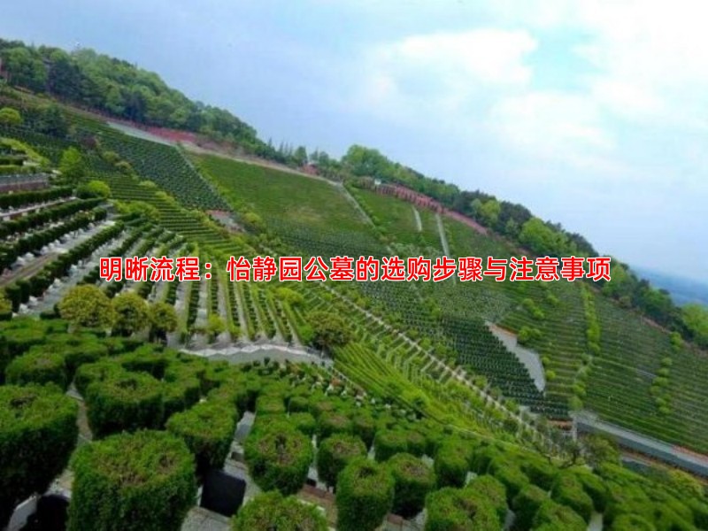 明晰流程：怡静园公墓的选购步骤与注意事项