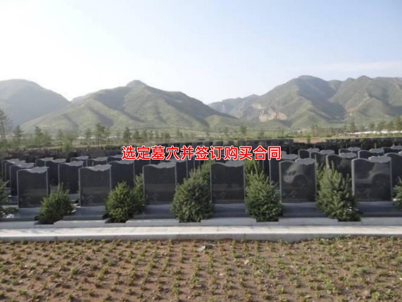 选定墓穴并签订购买合同