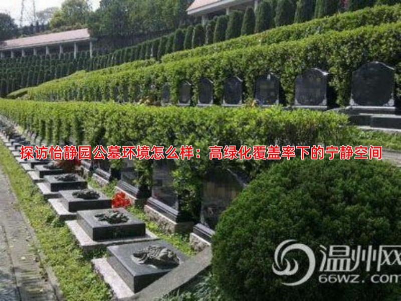 探访怡静园公墓环境怎么样：高绿化覆盖率下的宁静空间