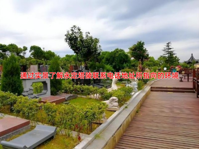 通过实景了解永定塔陵联系电话地址所指向的环境