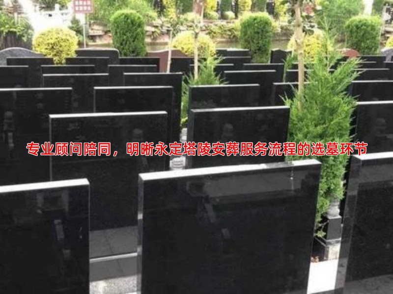 专业顾问陪同，明晰永定塔陵安葬服务流程的选墓环节