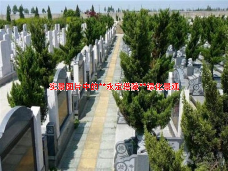实景图片中的**永定塔陵**绿化景观