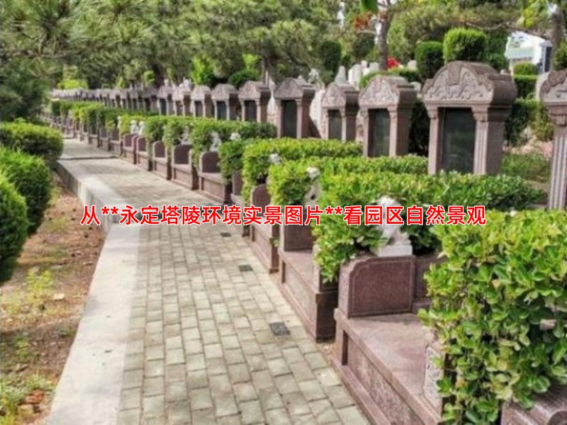 从**永定塔陵环境实景图片**看园区自然景观