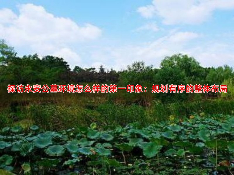 探访永安公墓环境怎么样的印象：规划有序的整体布局