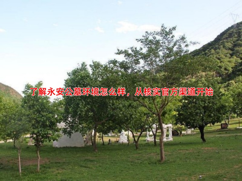 了解永安公墓环境怎么样，从核实官方渠道开始
