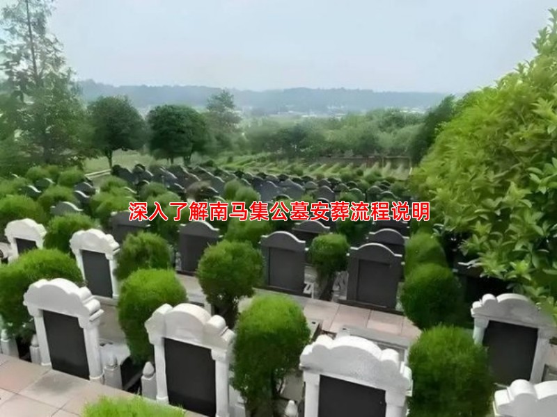 深入了解南马集公墓安葬流程说明