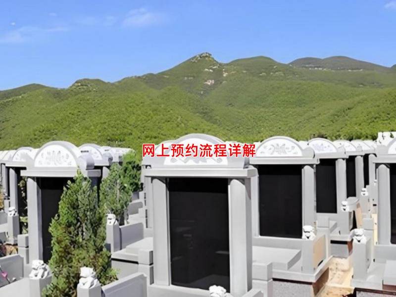 网上预约流程详解
