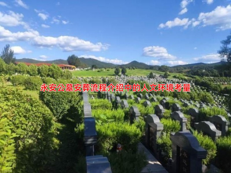 永安公墓安葬流程介绍中的人文环境考量