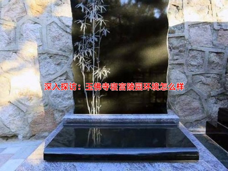 深入探访：玉佛寺寝宫陵园环境怎么样