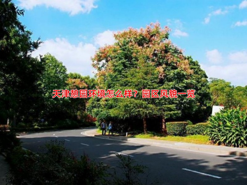 天津憩园环境怎么样？园区风貌一览