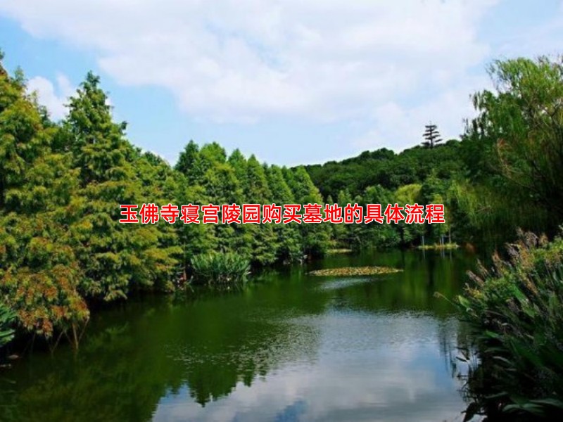 玉佛寺寝宫陵园购买墓地的具体流程