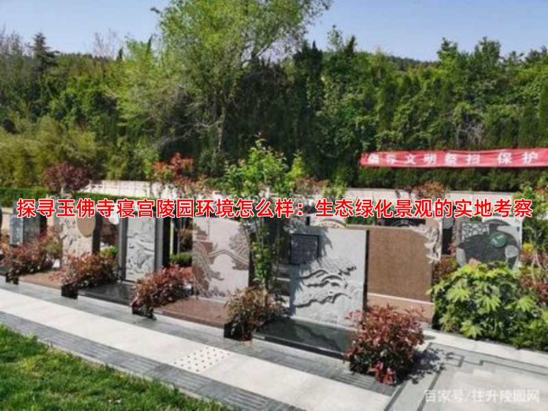 探寻玉佛寺寝宫陵园环境怎么样：生态绿化景观的实地考察