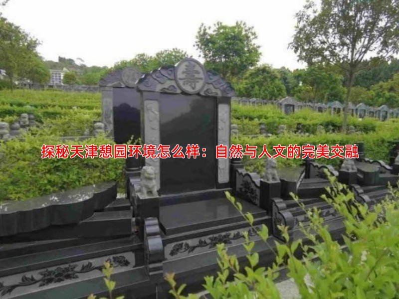 探秘天津憩园环境怎么样：自然与人文的完美交融