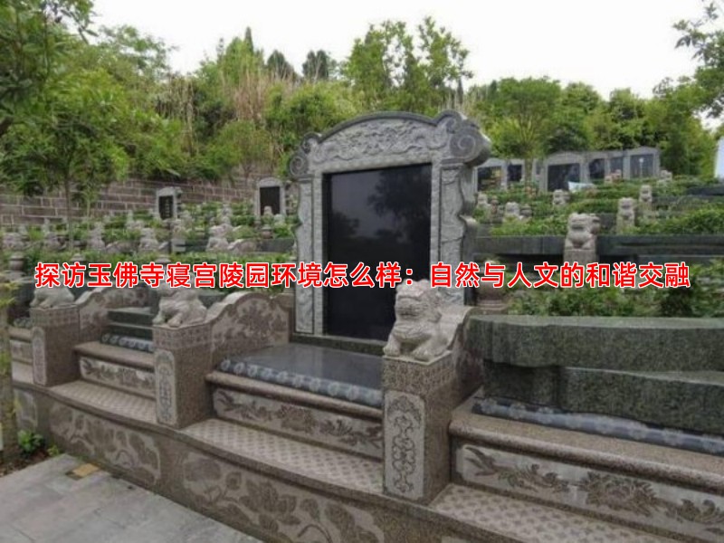探访玉佛寺寝宫陵园环境怎么样：自然与人文的和谐交融