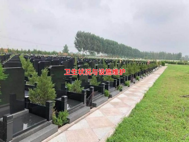 卫生状况与设施维护