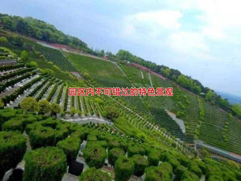 园区内不可错过的特色景观