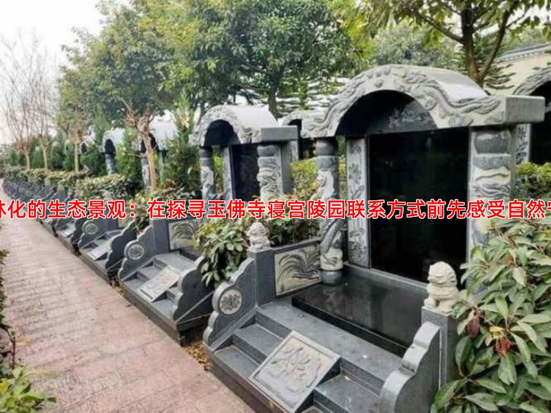 园林化的生态景观：在探寻玉佛寺寝宫陵园联系方式前先感受自然宁静