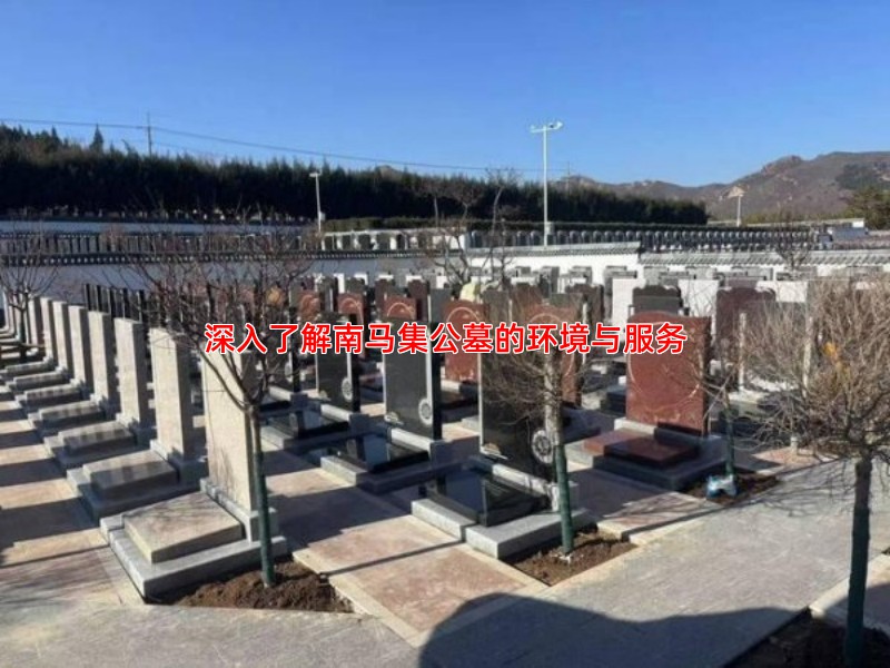 深入了解南马集公墓的环境与服务