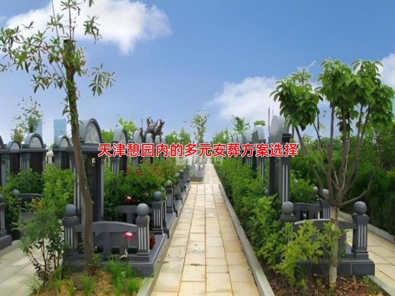 天津憩园内的多元安葬方案选择
