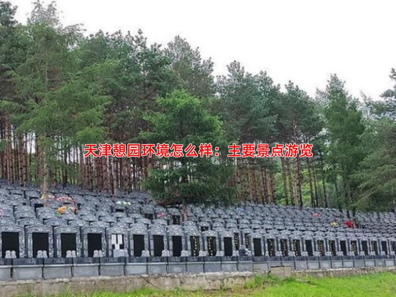 天津憩园环境怎么样：主要景点游览