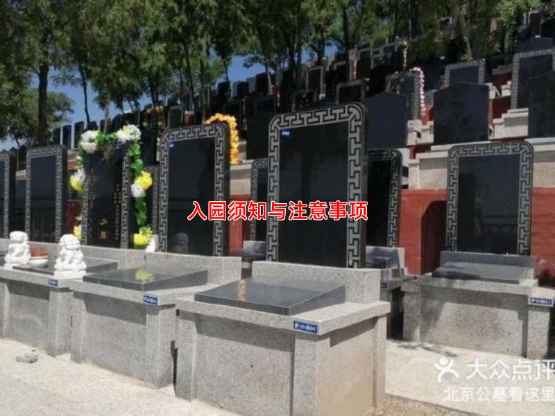 入园须知与注意事项