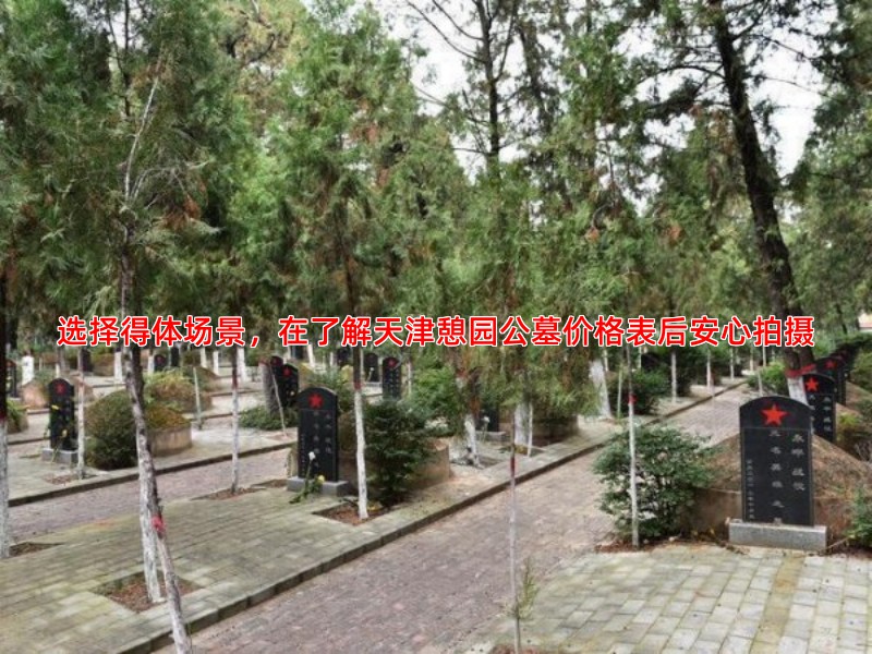 选择得体场景，在了解天津憩园公墓价格表后安心拍摄