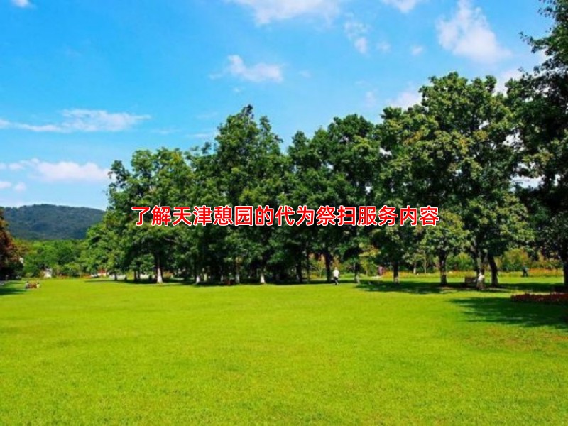 了解天津憩园的代为祭扫服务内容