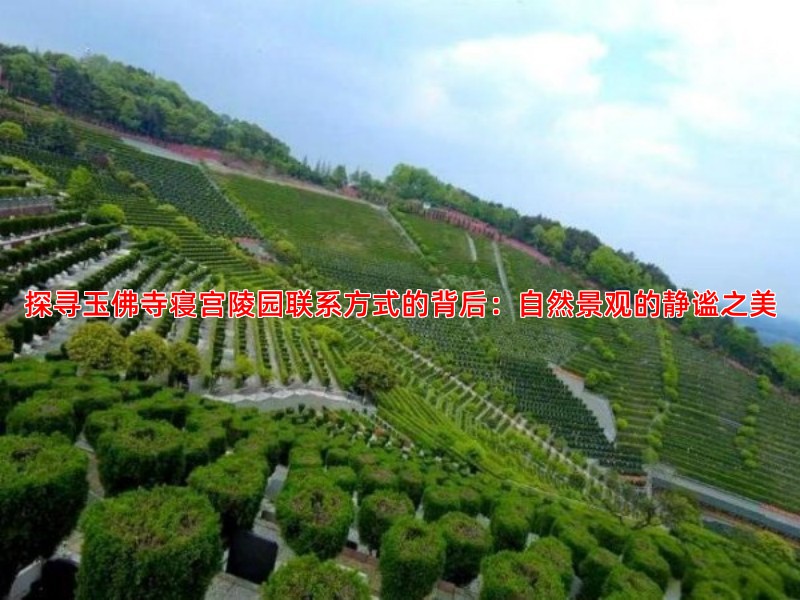 探寻玉佛寺寝宫陵园联系方式的背后：自然景观的静谧之美