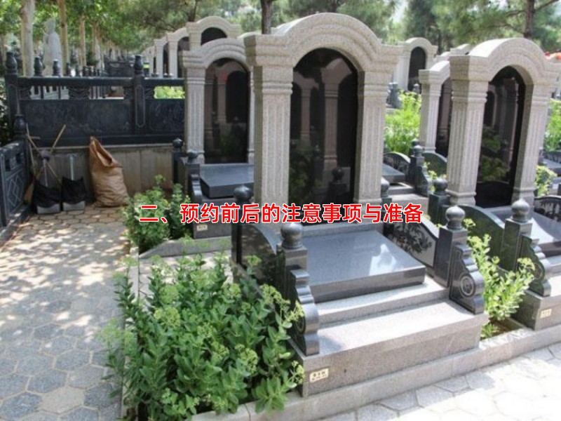 二、预约前后的注意事项与准备