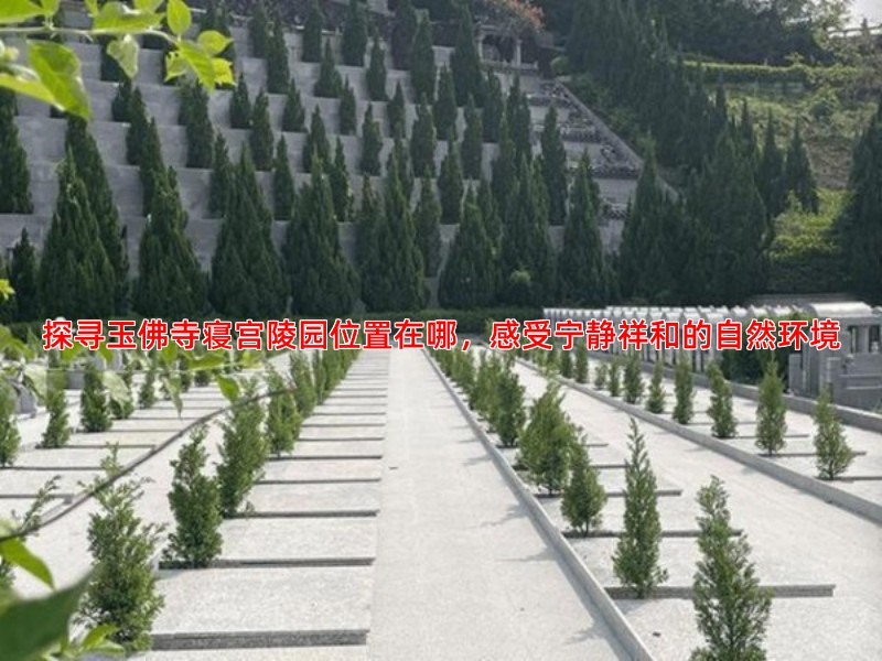 探寻玉佛寺寝宫陵园位置在哪，感受宁静祥和的自然环境