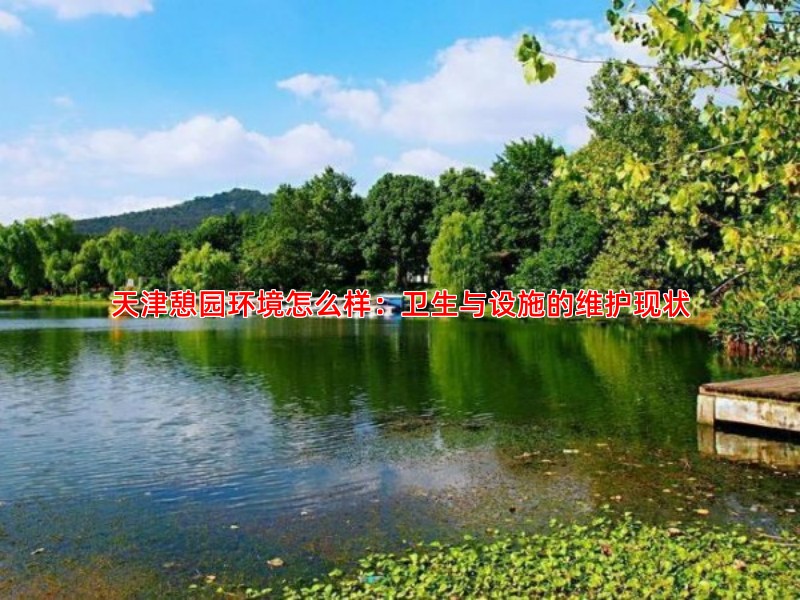 天津憩园环境怎么样：卫生与设施的维护现状