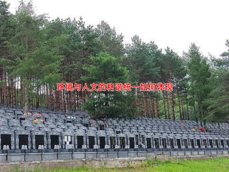 环境与人文的和谐统一如何体现