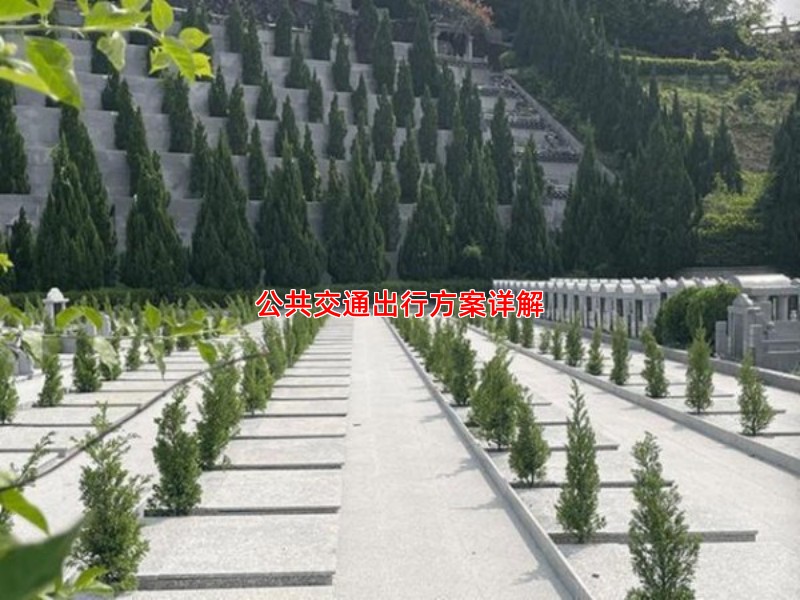 公共交通出行方案详解