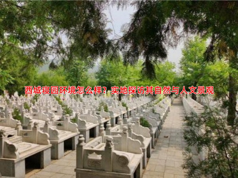 西城寝园环境怎么样？实地探访其自然与人文景观