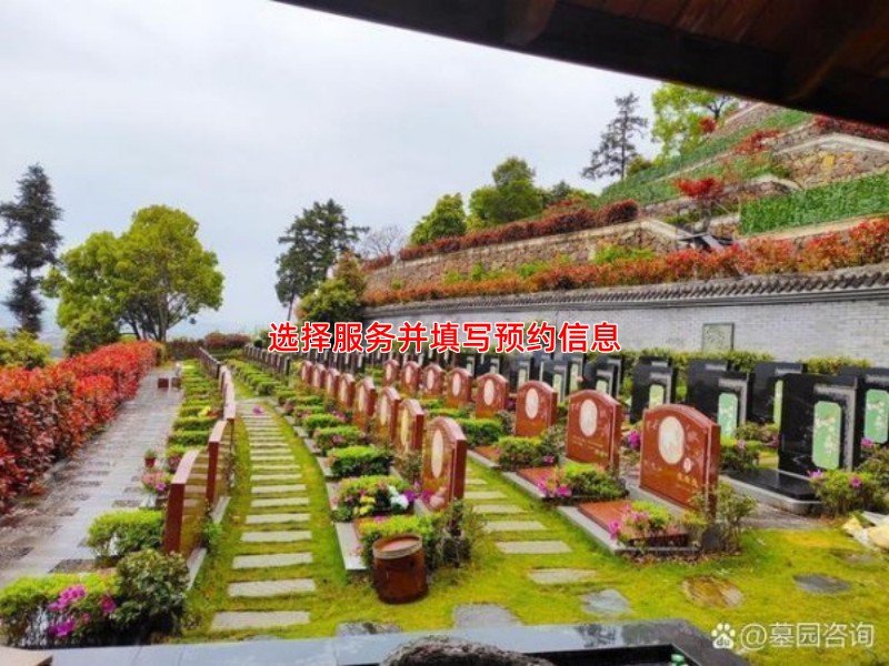 选择服务并填写预约信息