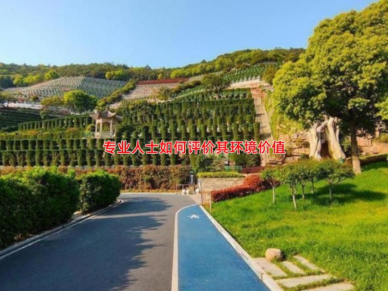 专业人士如何评价其环境价值
