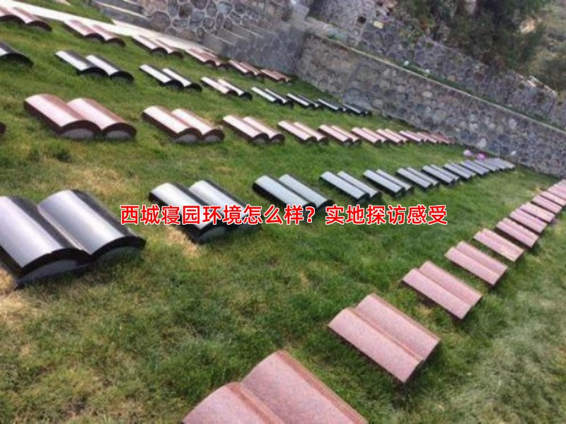 西城寝园环境怎么样？实地探访感受