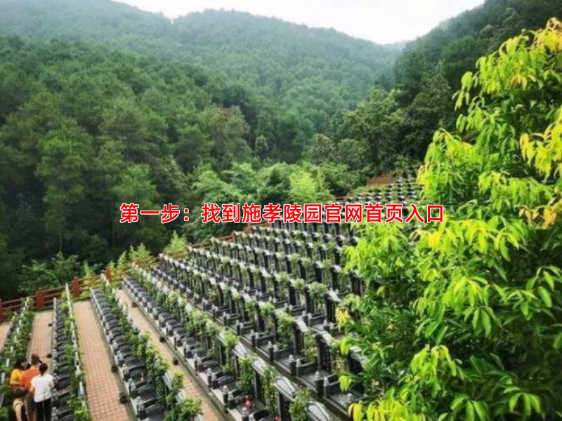 步：找到施孝陵园官网首页入口