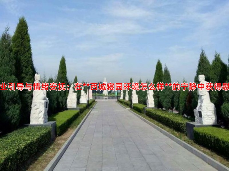 专业引导与情绪安抚：在**西城寝园环境怎么样**的宁静中获得慰藉