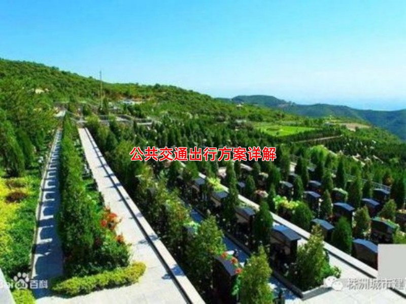 公共交通出行方案详解