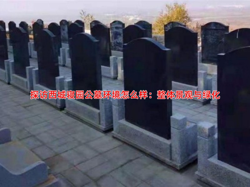 探访西城寝园公墓环境怎么样：整体景观与绿化