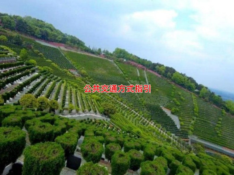 公共交通方式指引