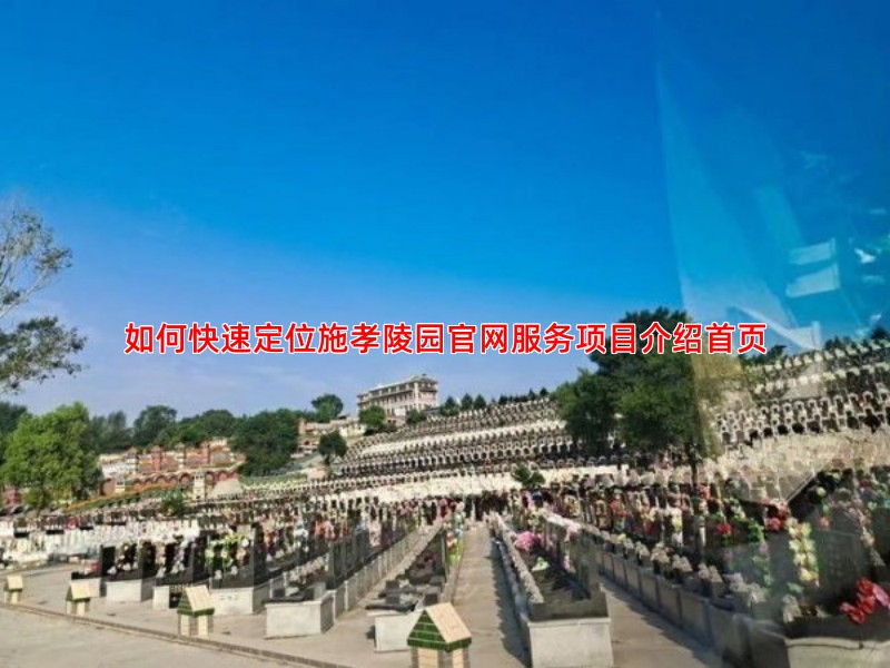 如何快速定位施孝陵园官网服务项目介绍首页
