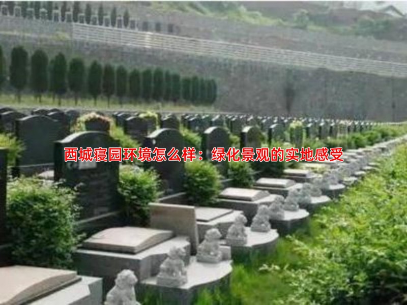 西城寝园环境怎么样：绿化景观的实地感受